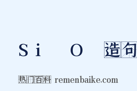 –Si–O–造句是什么意思的图片